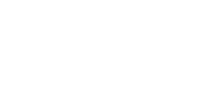 Txingudi